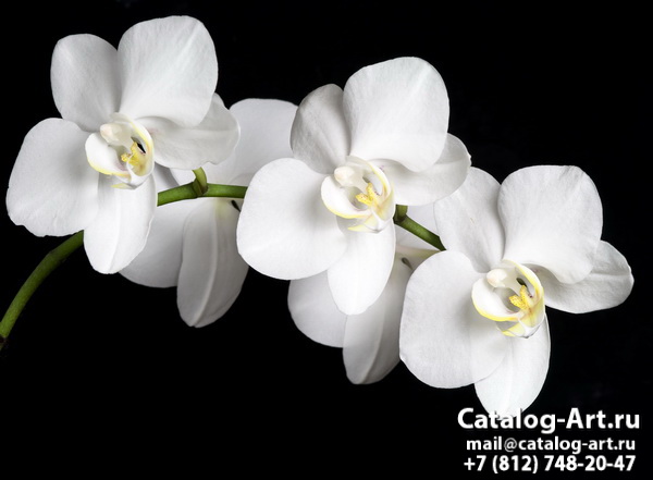 Натяжные потолки с фотопечатью - Белые орхидеи 4